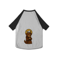Roupa para Cachorro – São Francisco de Assis e os Animais